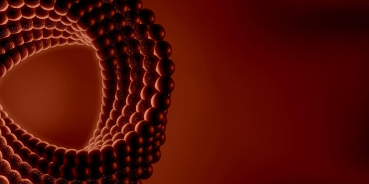 Signs of Iron Deficiency- 10 Symptoms You Shouldn't Ignore