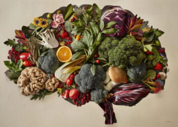 Best Foods for Brain Health 15 Nutrients That Boost Memory andFocus